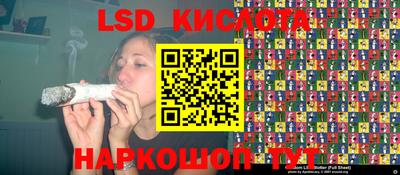 молекула духа Гатчина