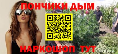 молекула духа Гатчина